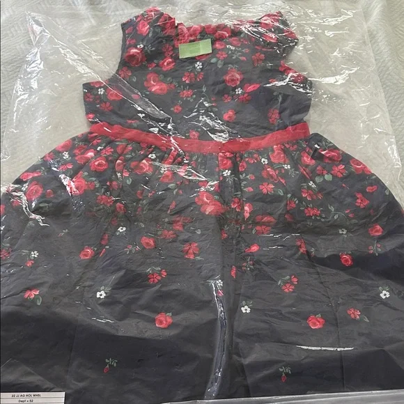 Janie and Jack X American girl doll red roses dress - Picture 1 of 12